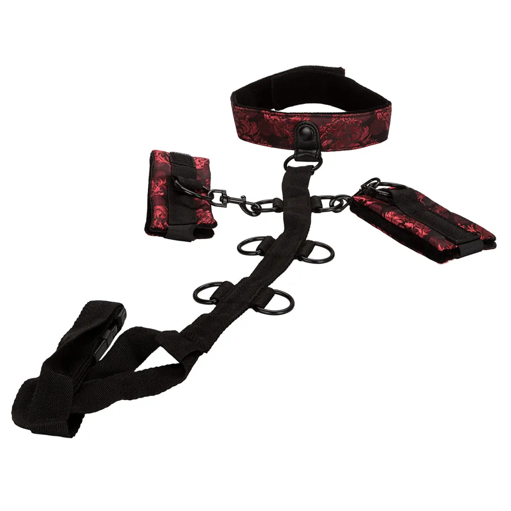 SCANDAL COLLAR BODY RESTRAINT