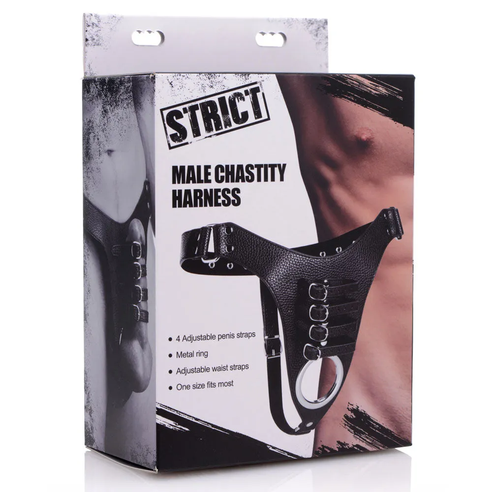 Strict Male Chastity Harness