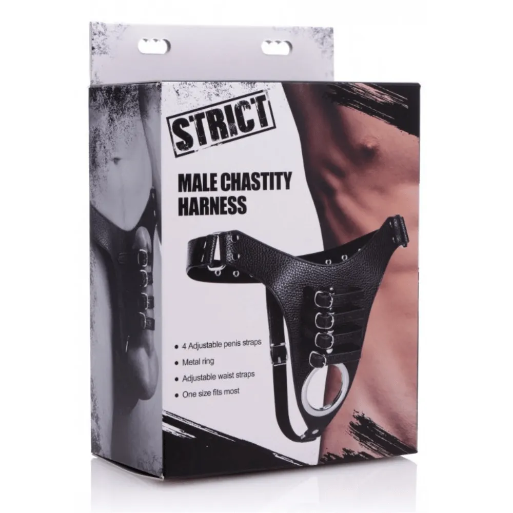 Strict Male Chastity Harness