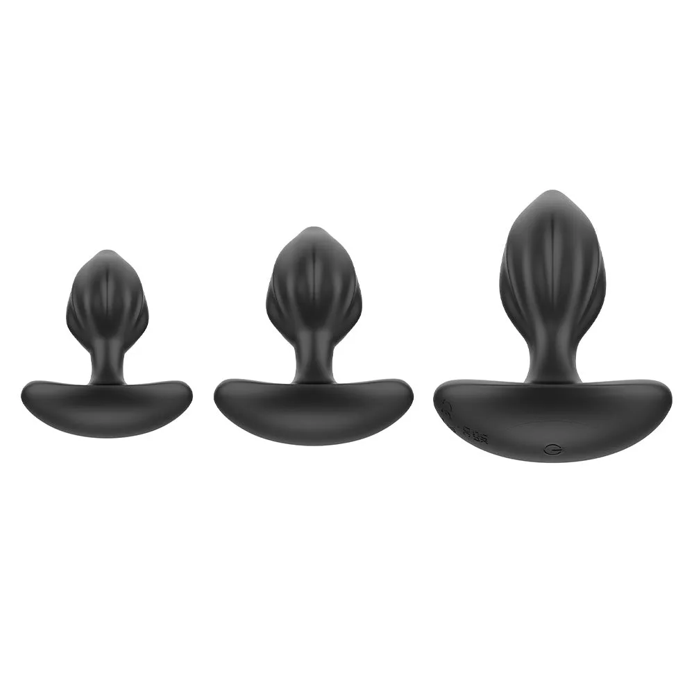 Winyi Mark Ribbed Silicone Anal Plug Training Kit