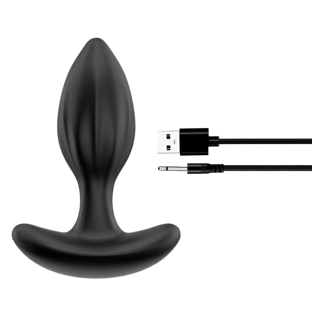 Winyi Mark Ribbed Silicone Anal Plug Training Kit