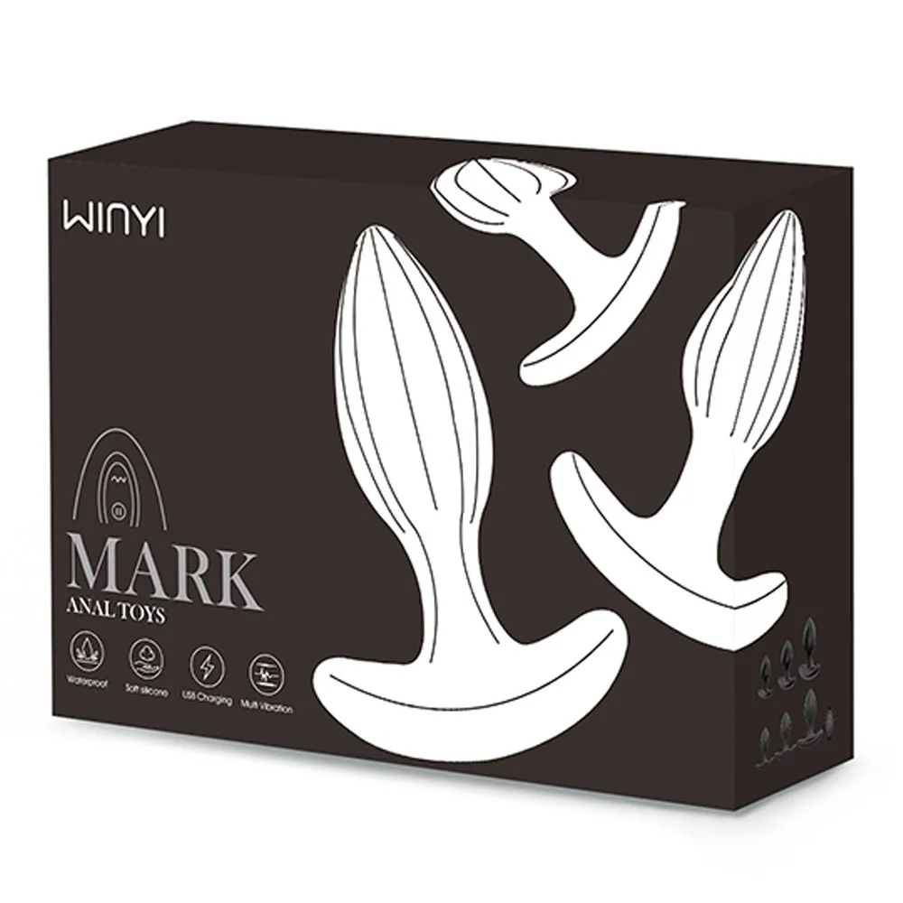Winyi Mark Ribbed Silicone Anal Plug Training Kit
