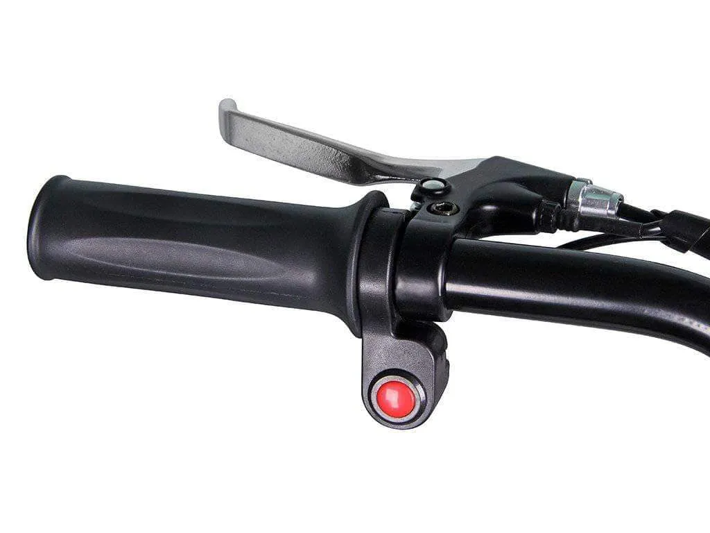 X-Treme Newport Elite Beach Cruiser Electric Bike [24V 300W]