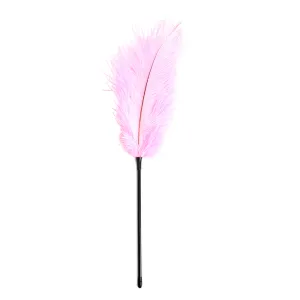 Yiwu Ostrich Feather Tickler